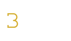 Bongolix logo
